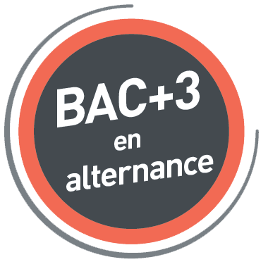 pastille-bac-+-3-alternance-ecole-de-commerce-valence